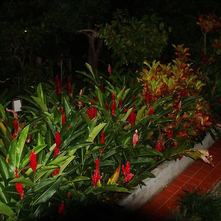 L'Ecomusee Creole De La Guadeloupe サント・ローズ エクステリア 写真