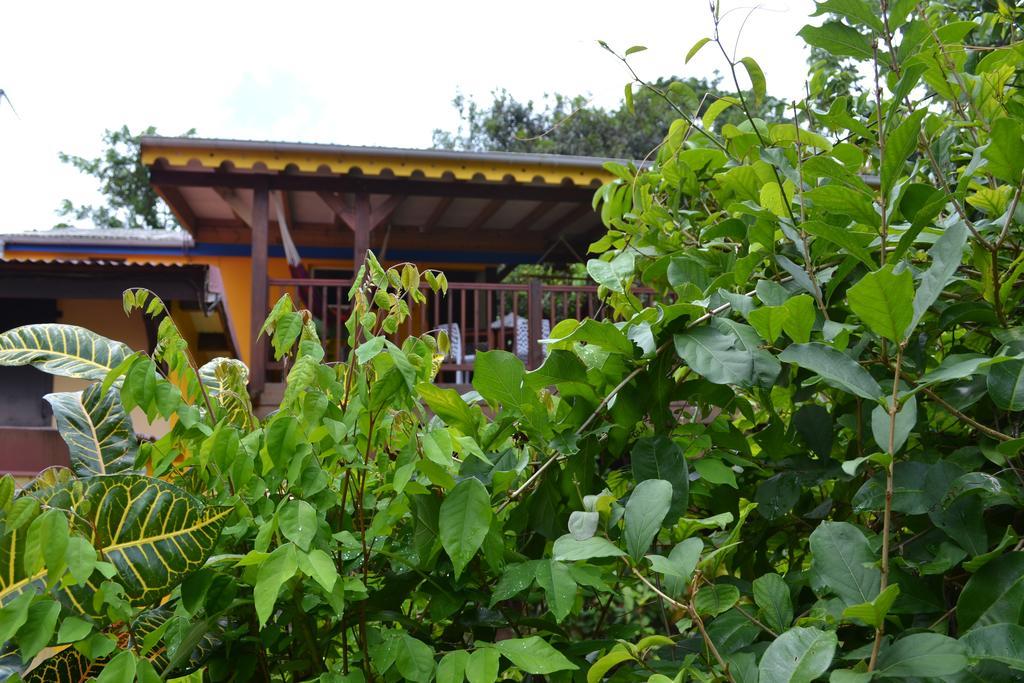 L'Ecomusee Creole De La Guadeloupe サント・ローズ エクステリア 写真